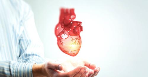 Quelle est la fréquence cardiaque normale selon l'âge et comment la calculer ?