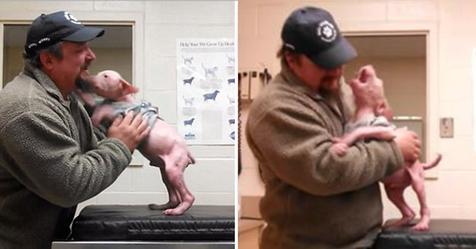 Cet homme retourne à la clinique vétérinaire pour adopter le jeune chiot qu'il avait sauvé