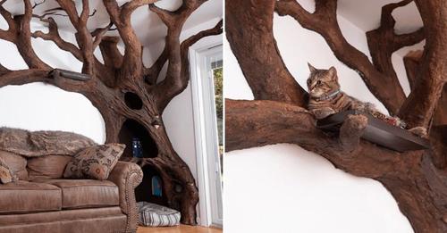 L’homme fabrique un arbre à chat grandeur nature dans son salon et fait de nombreux envieux