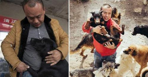 Un millionnaire a dépensé sa fortune pour transformer un abattoir en sanctuaire pour chiens