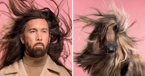 Un photographe fait poser des chiens et leurs maîtres et la ressemblance est troublante
