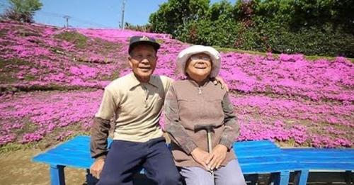 Ce mari a planté des milliers de fleurs roses pour sa femme aveugle pour cette raison très spéciale