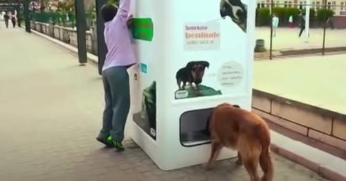 Cette machine donne de la nourriture aux chiens errants en échange de bouteilles en plastique