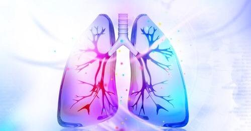 3 remèdes naturels pour désintoxiquer les poumons