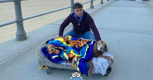 Cette famille fabrique un lit spécial pour que sa chienne de 16 ans puisse encore voir la plage