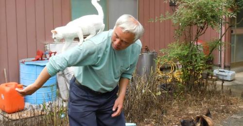 Cet homme a choisi de vivre dans la zone de Fukushima pour s'occuper de tous les animaux abandonnés