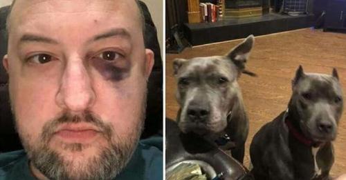 Un homme a recueilli deux pitbulls abandonnés – elles l’ont remercié en le sauvant d’une agression