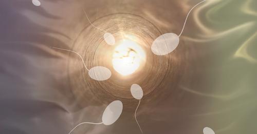 Fertilité des hommes en chute libre : Pourquoi la qualité du sperme a t elle chuté de 50% ces dernières années ?