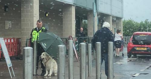 Cet agent de sécurité n’hésite pas à rester sous la pluie pour protéger un chien de l’eau