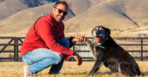 Un chien de refuge de 16 ans atteint d’un cancer renaît totalement après avoir été placé dans une famille d’accueil