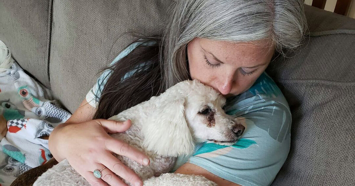 Une femme transforme sa maison en hospice pour les vieux chiens afin qu’ils ne meurent pas seuls