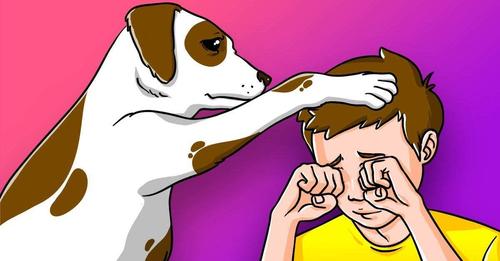 Votre chien vous aime vraiment s’il vous montre ces 4 signes