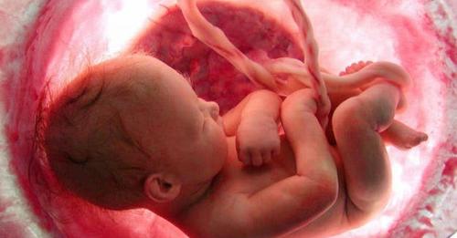 10 images de la vie humaine à l’intérieur du ventre de la mère